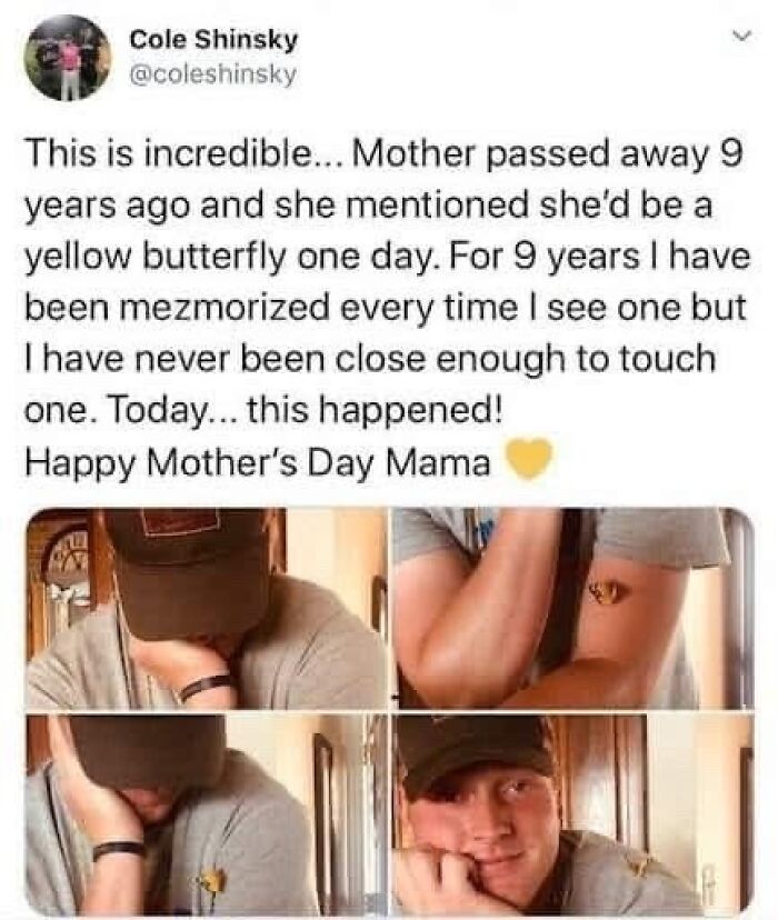 Wholesome-Memes-Memeuplift