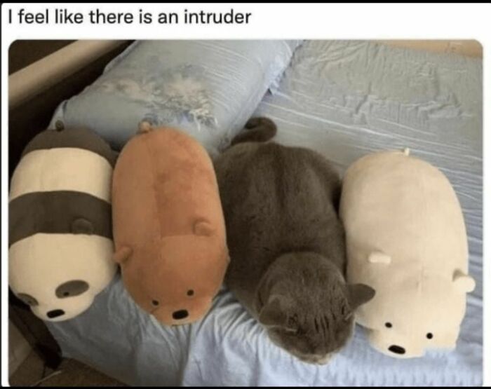 Wholesome-Memes-Memeuplift