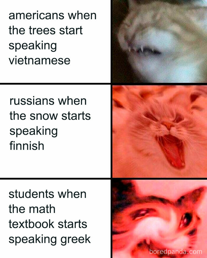 Funny math memes: Three panels showing text next to images of cats with distressed, confused, or screaming expressions.
