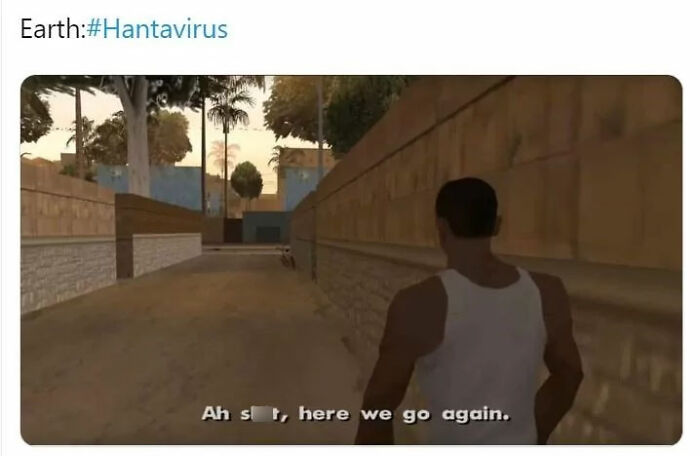 Hantavirus-Memes-Tweets-Reactions