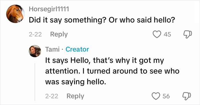 Viral Video Makes People Lose Their Minds, Everyone Fights Over What The "Creature" In It Is Viral Video Makes People Lose Their Minds, Everyone Fights Over What The "Creature" In It Is