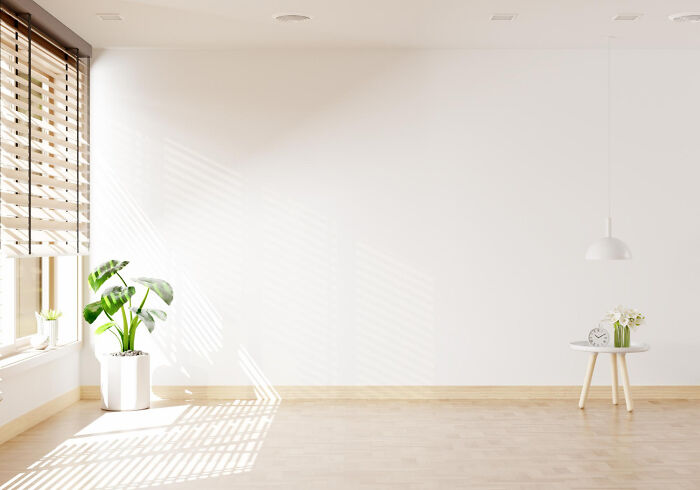 A brightly lit, minimalist room with a plant by a window, ideal for those who cross to the other side seeking peace.