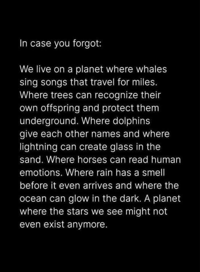 Text post about planet's natural wonders including whales, trees, dolphins, lightning, and ocean glow