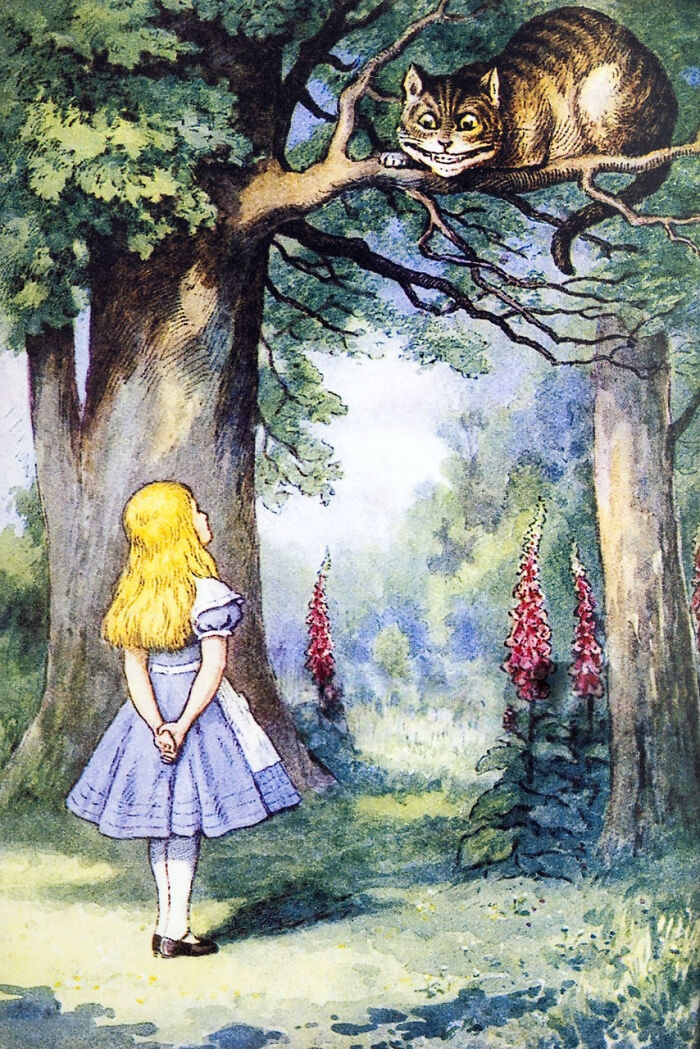 Illustration of girl looking at smiling cat on tree branch random facts