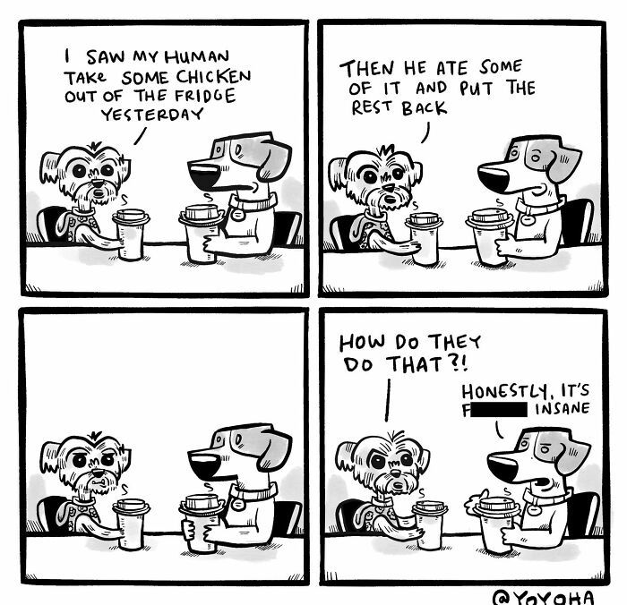 Artist Josh Hara Turns Everyday Thoughts Into Hilarious Comics That Perfectly Capture Modern Life (27 New Pics)