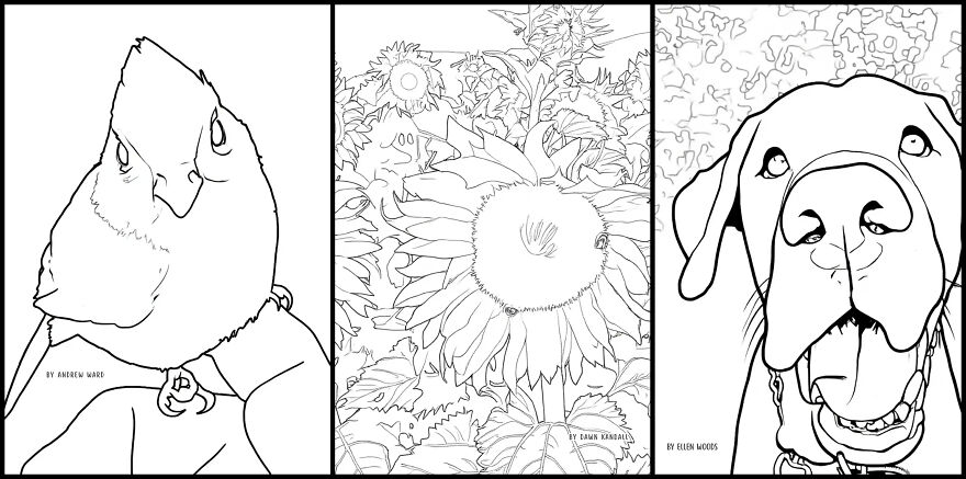 Over 30 Creatives Capture The Rockefeller State Park Preserve In A New Coloring Book Over 30 Creatives Capture The Rockefeller State Park Preserve In A New Coloring Book