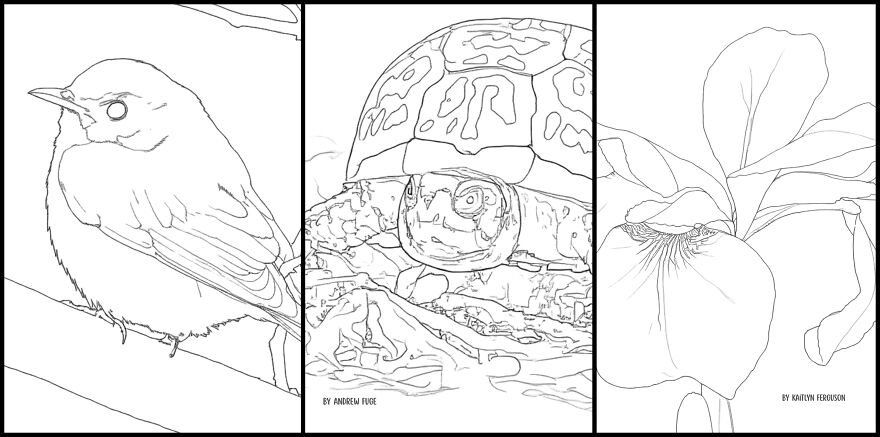 Over 30 Creatives Capture The Rockefeller State Park Preserve In A New Coloring Book Over 30 Creatives Capture The Rockefeller State Park Preserve In A New Coloring Book