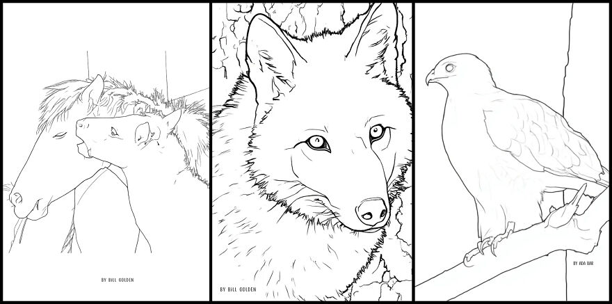 Over 30 Creatives Capture The Rockefeller State Park Preserve In A New Coloring Book Over 30 Creatives Capture The Rockefeller State Park Preserve In A New Coloring Book