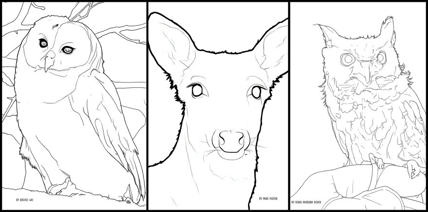 Over 30 Creatives Capture The Rockefeller State Park Preserve In A New Coloring Book Over 30 Creatives Capture The Rockefeller State Park Preserve In A New Coloring Book