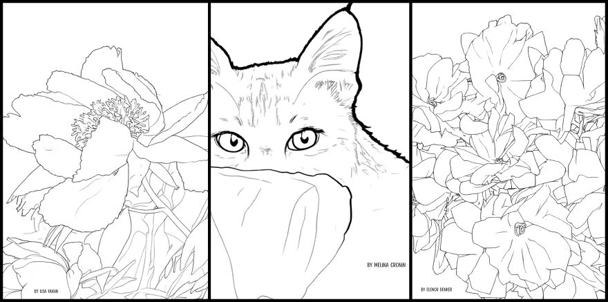 Over 30 Creatives Capture The Rockefeller State Park Preserve In A New Coloring Book Over 30 Creatives Capture The Rockefeller State Park Preserve In A New Coloring Book