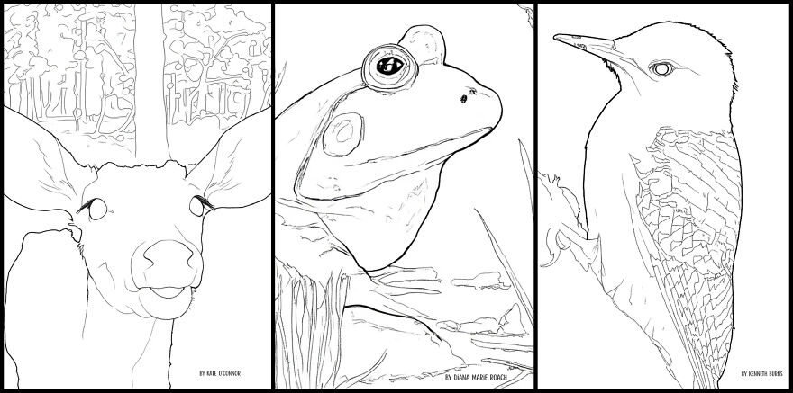 Over 30 Creatives Capture The Rockefeller State Park Preserve In A New Coloring Book Over 30 Creatives Capture The Rockefeller State Park Preserve In A New Coloring Book