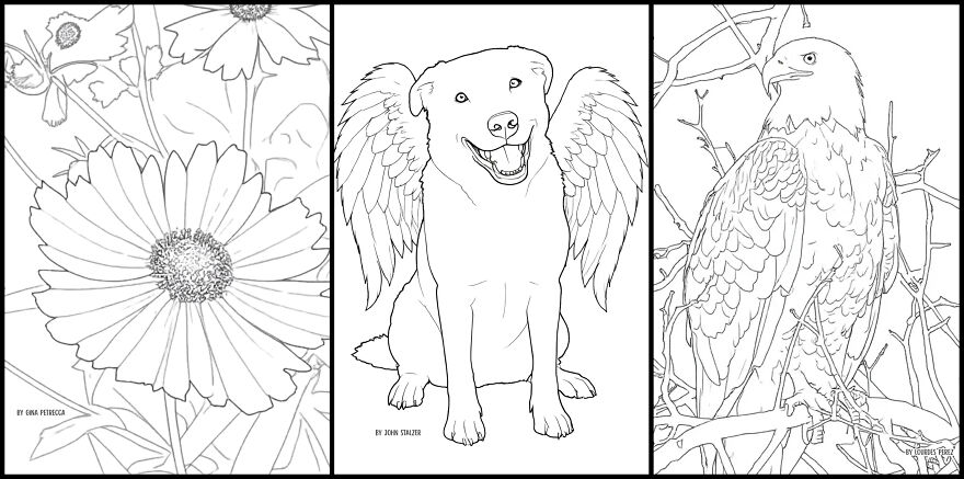 Over 30 Creatives Capture The Rockefeller State Park Preserve In A New Coloring Book Over 30 Creatives Capture The Rockefeller State Park Preserve In A New Coloring Book