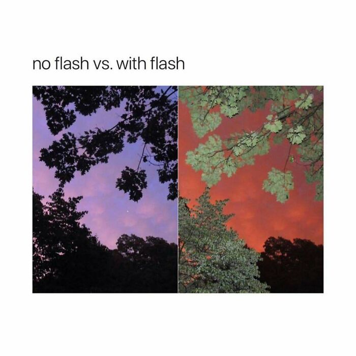 Comparison of tree branches in no flash vs with flash photography
