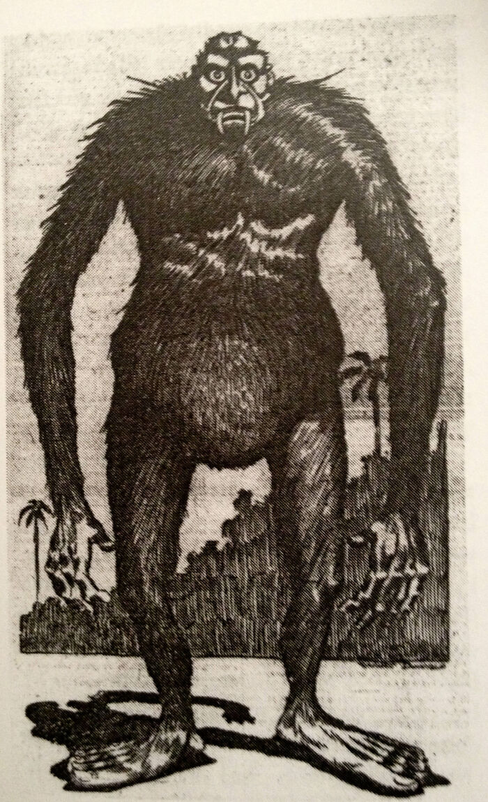 Vintage black and white drawing of a large hairy Bigfoot creature in forest