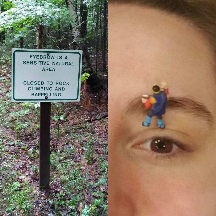 Sign warning eyebrow area is closed to rock climbing and rappelling outdoors