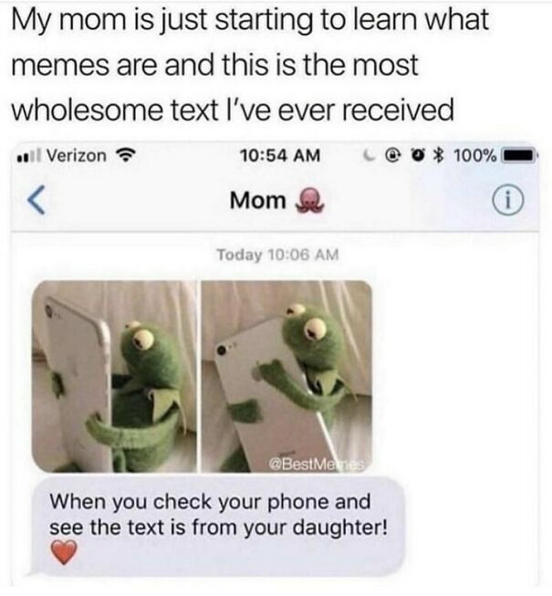 A mom's wholesome text with Kermit the Frog looking at a phone. Feeling down? This positive post might make your day!