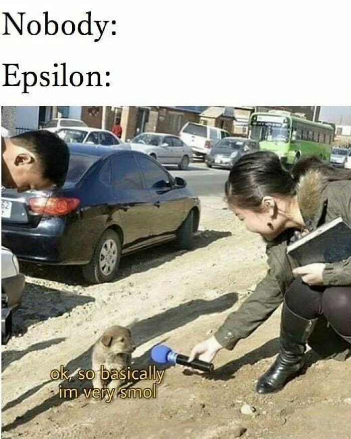 Funny math meme: a tiny puppy being interviewed, saying "ok, so basically im very smol", representing epsilon in math.