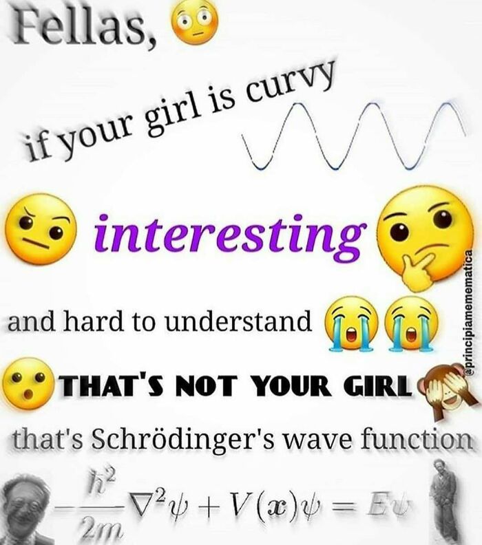 Funny math meme featuring Schrödinger's wave function, with emojis and text. Might bring back math trauma.