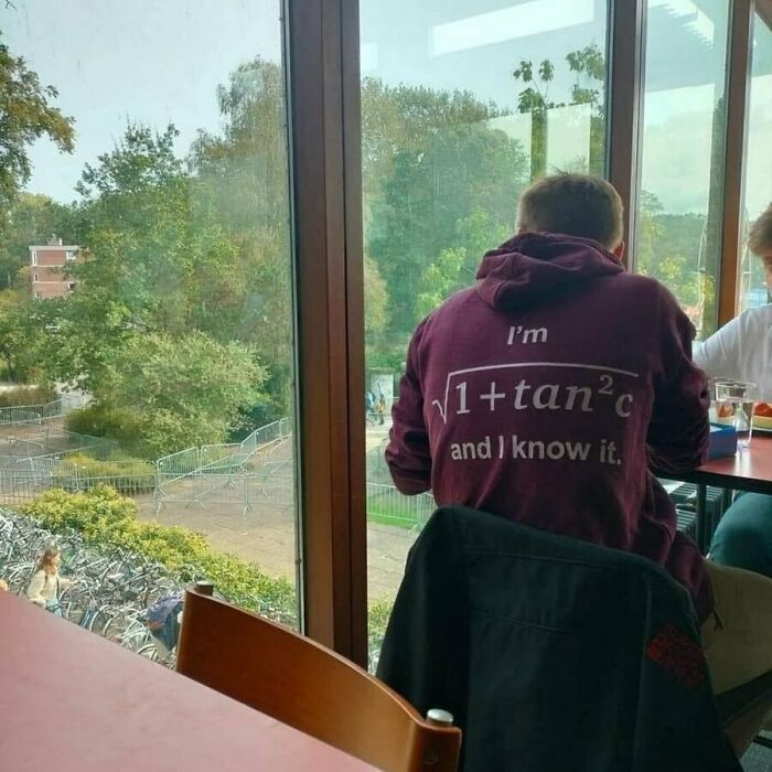 A person in a maroon hoodie with a math equation and text sits indoors, facing a window. Funny math memes.