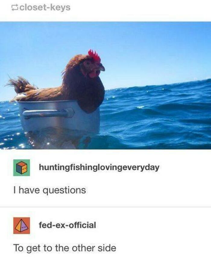 Chicken sitting in a pot in the ocean with meme comments