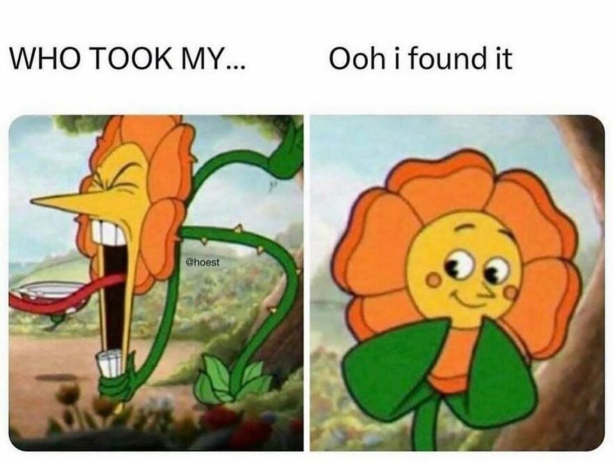 Funny meme with cartoon flower looking for itself