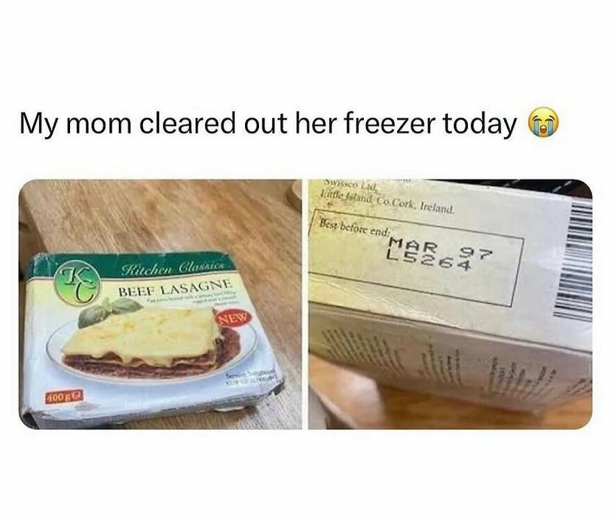 Expired beef lasagne meme showing freezer cleared out with food from 1997