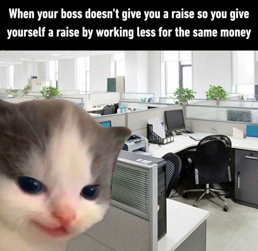 Funny meme cat in office about giving yourself a raise by working less for same money