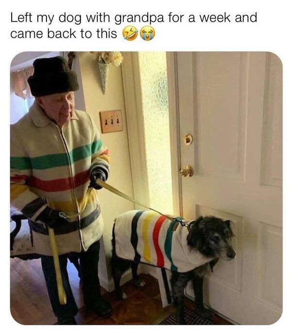 Grandpa and a dog in matching colorful striped coats, a funny positive post that might make your day.