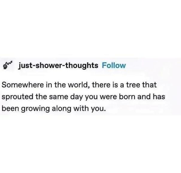 A positive post from just-shower-thoughts: a tree sprouted the day you were born and grows with you. This might make your day!