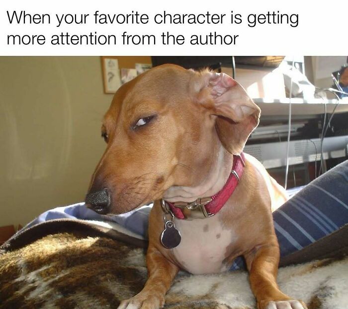 Funny-Memes-Writers-Memesforwriters