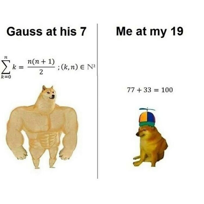 Funny meme about math struggles. Gauss, a buff dog, solving complex math at 7. Me, a small dog with a propeller hat, solving simple addition at 19.
