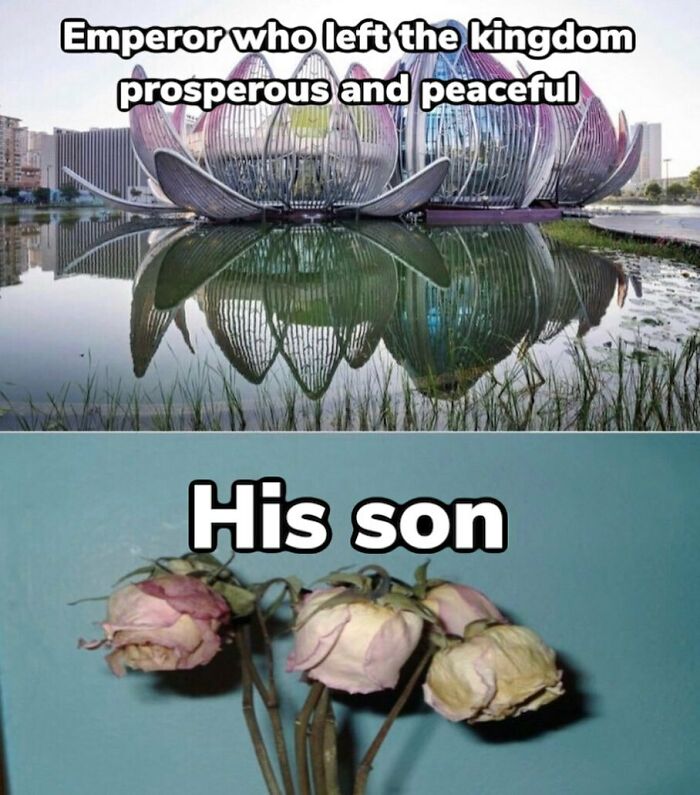 Funny history meme comparing a prosperous kingdom to dried roses, showing the decline under an emperor's son.