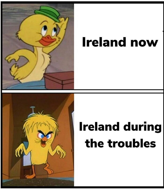 Funny history memes about Ireland, showing a cute duckling for now and an angry Tweety for the troubles.