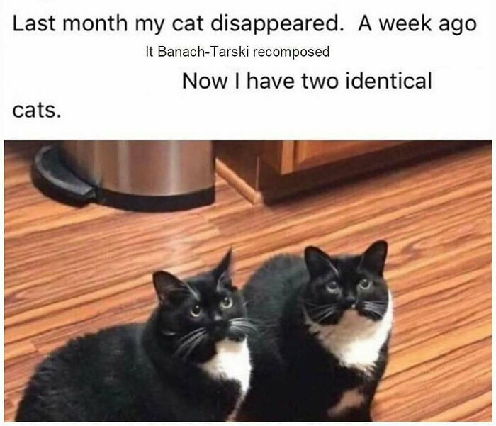 Two identical black and white cats sitting on a wooden floor, illustrating a funny math meme about the Banach-Tarski paradox.