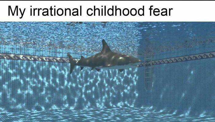 Image of shark in a swimming pool representing irrational childhood fear meme