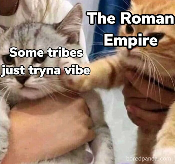 Funny history memes: A gray cat labeled Some tribes just tryna vibe gets pushed by an orange cat labeled The Roman Empire.