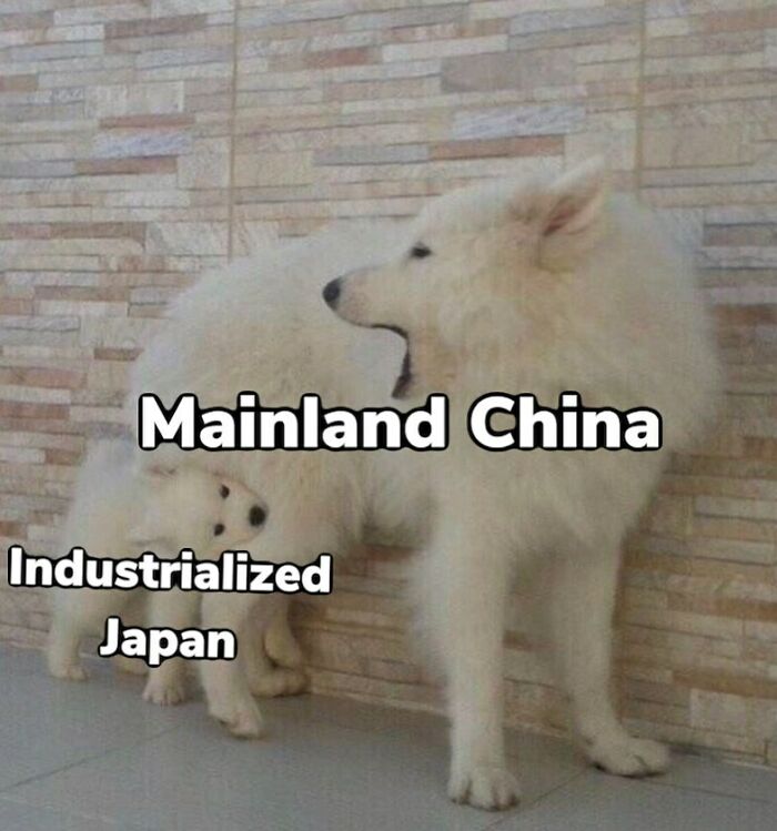 A history meme: a large white dog labeled Mainland China, and a small white puppy labeled Industrialized Japan. Funny history memes.