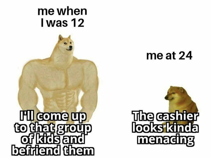 Meme showing Doge muscle at 12 vs scared smaller Doge at 24 about kids and cashier