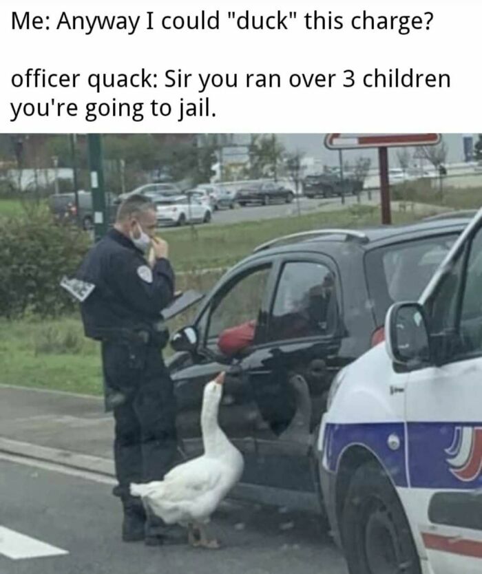 Funny meme about ducking a charge with a police officer and a goose at a car window