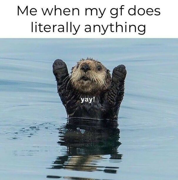 A joyful otter in water with arms raised, saying 'yay!', representing positive posts to make your day.