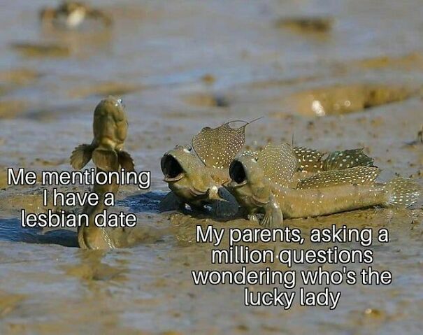 Humorous meme featuring mudskippers, one standing tall while two others react, representing parents asking questions about a lesbian date. Might make your day.