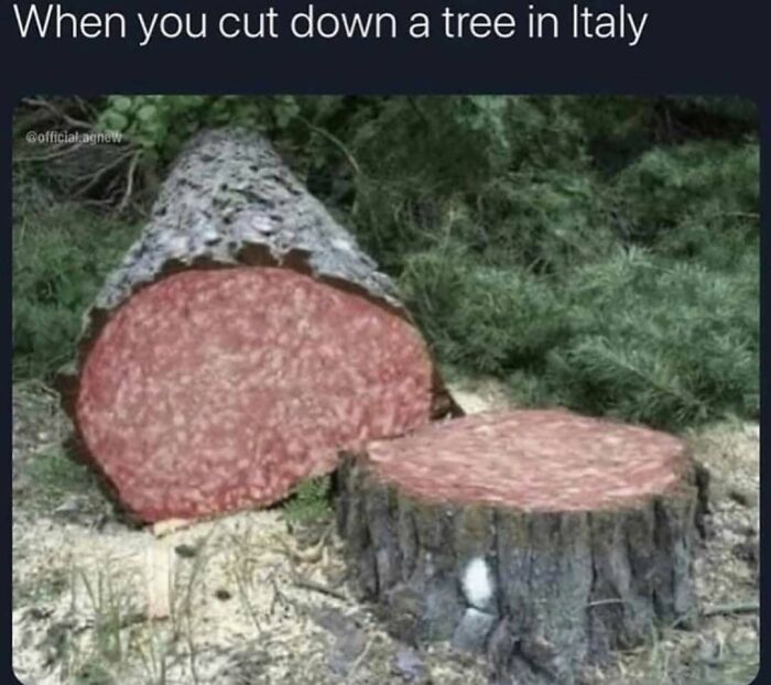 Tree cut down in Italy with salami texture inside meme