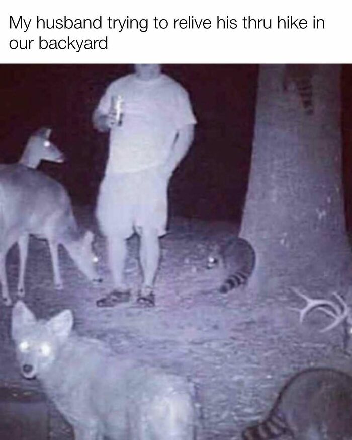 Night wildlife camera meme of man and animals reliving thru hike in backyard