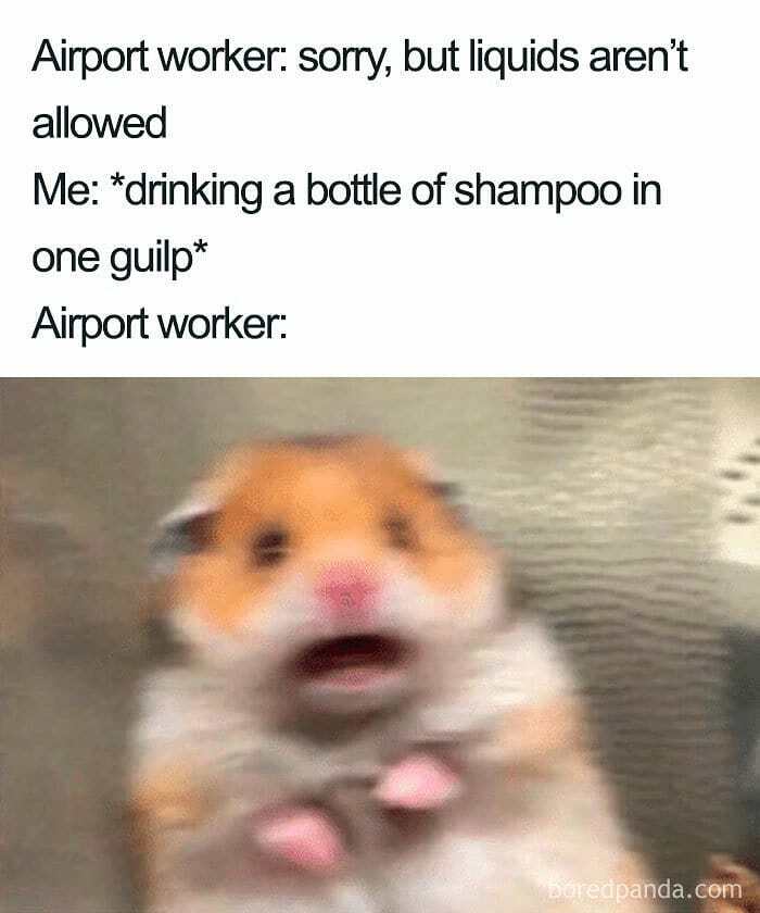 A travel meme shows a shocked hamster after someone drinks shampoo to bypass airport liquid rules.