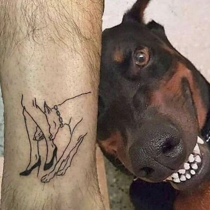 Doberman dog posing next to a tattoo of a dog in silly animal pictures