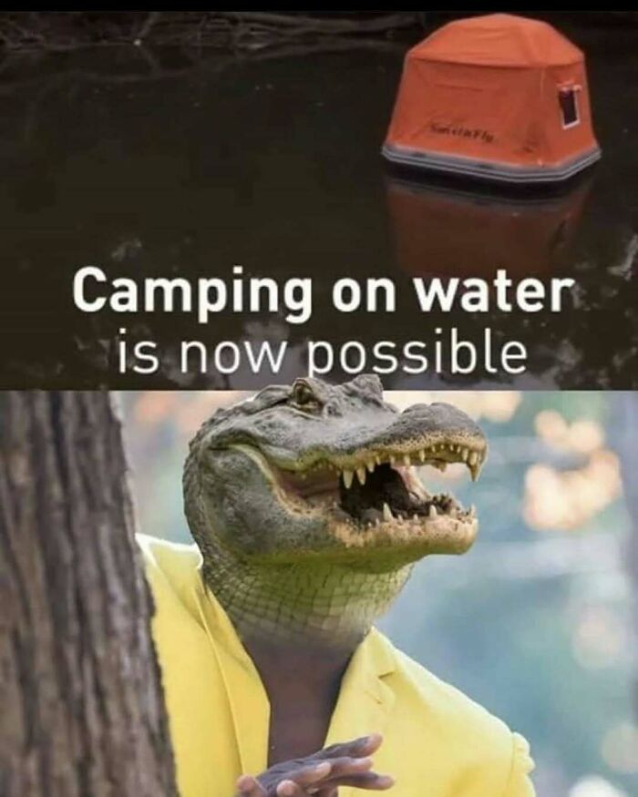 Humorous meme about camping on water with an alligator person