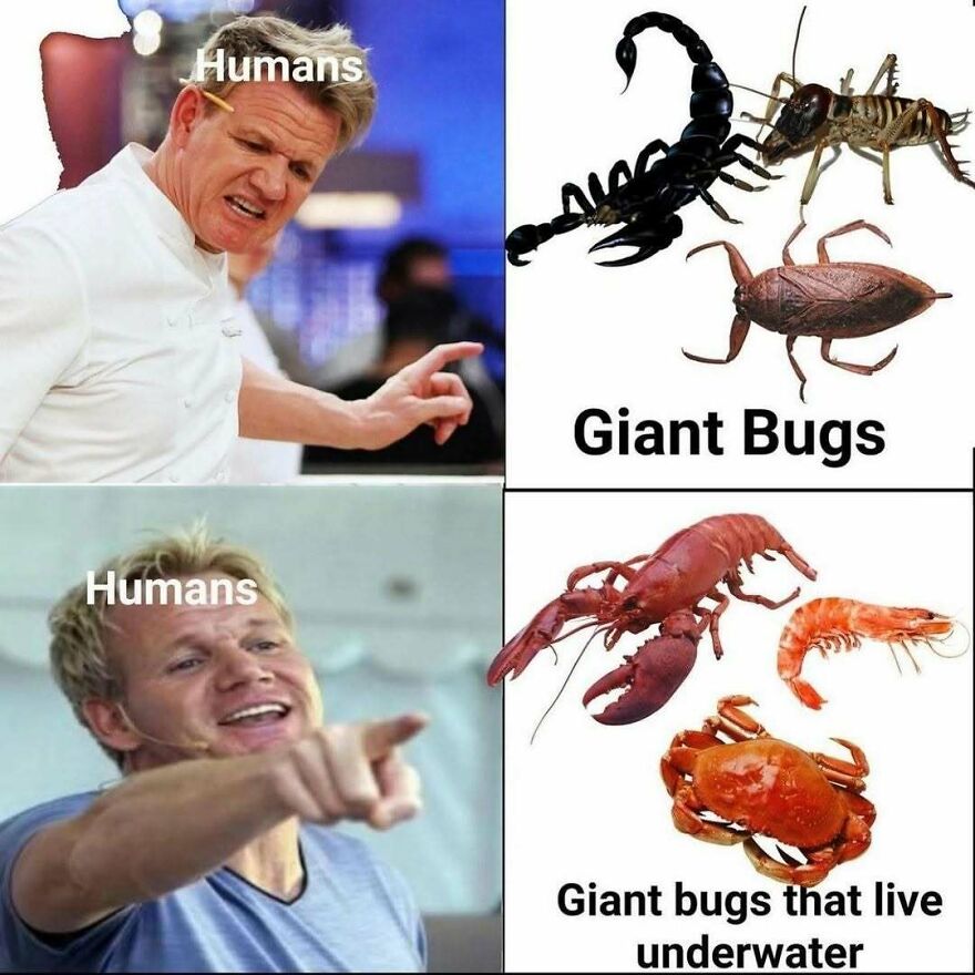 Funny meme showing humans scared of giant bugs but not of giant underwater bugs