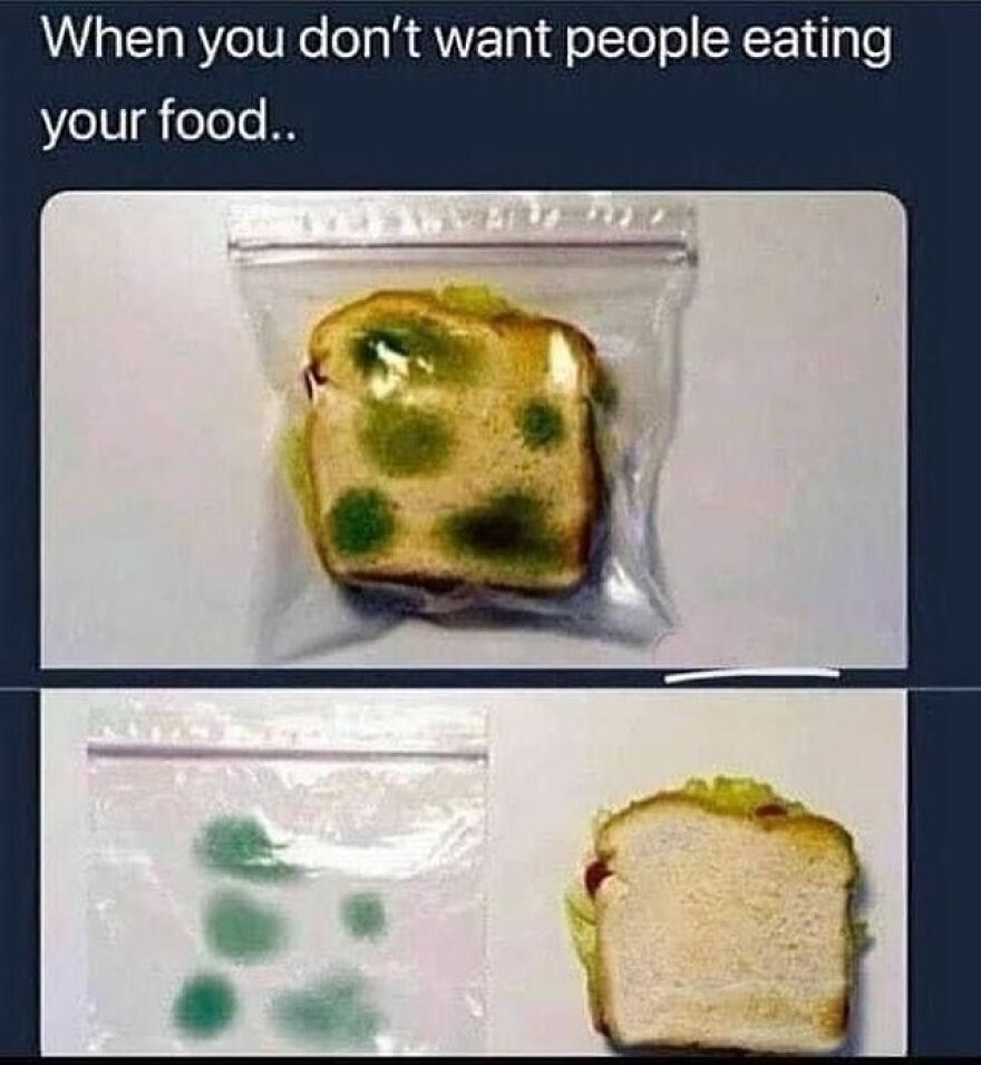 Funny meme showing moldy sandwich to keep people from eating your food