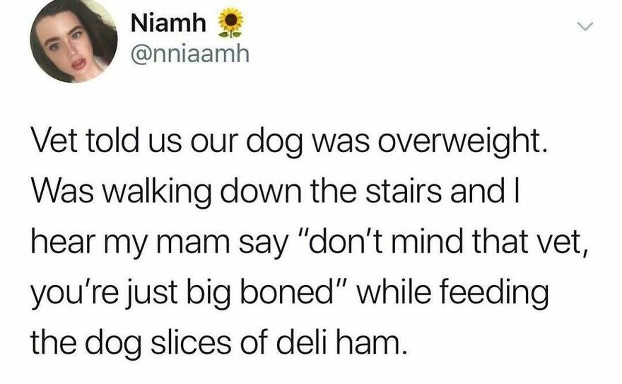 Tweet joke about vet calling dog overweight and big boned excuse