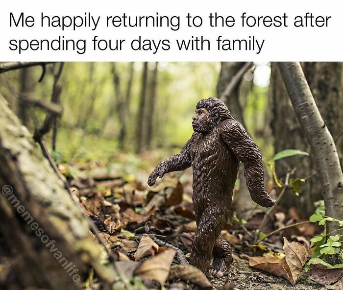 Bigfoot toy walking through a forest, depicting the feeling of returning home. A meme about van life and homelessness.